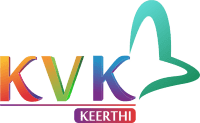 Keerthi Traders